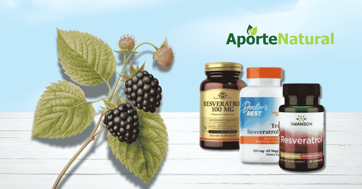 Frutas y alimentos ricos en resveratrol como uvas, moras, arándanos y cacahuetes sobre fondo claro.